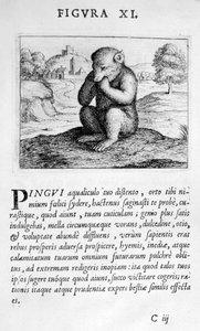 Figure de prophétie XI de Prognosticatio Eximii Doctoris Paracelsi