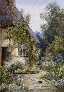 Un jardin de cottage avec un chat au premier plan; et une bordure de cottage en été