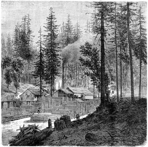 Scierie, Californie