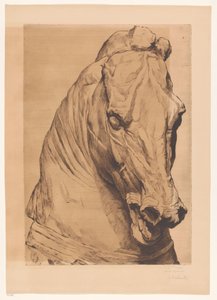 Tête de licorne d