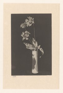Fleurs dans un vase avec motifs chinois (La Chine)