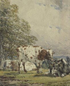 Étude de bétail, 19ème siècle