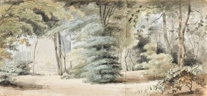 Partie des jardins de Merton avec une tonnelle et des arbres (recto) - Thomas Baxter