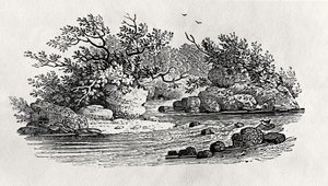 Un méandre de la rivière, de 