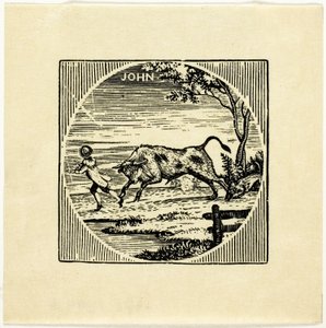 Illustration de Livre