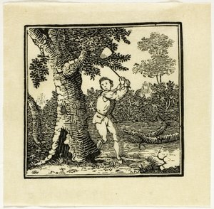 Illustration de livre