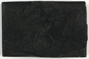 Bloc de bois pour femme cueillant des fleurs - Thomas Bewick