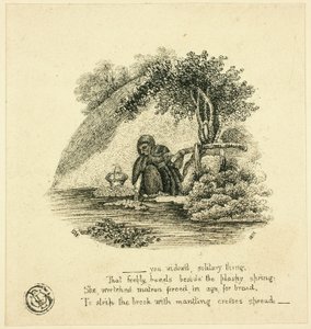 ...Tu es une veuve solitaire - Thomas Bewick