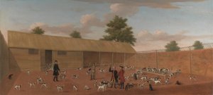 Apprendre sur les Chiens de Chasse