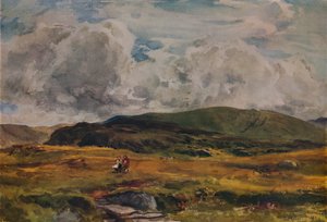 Un chemin à travers les champs, 1881