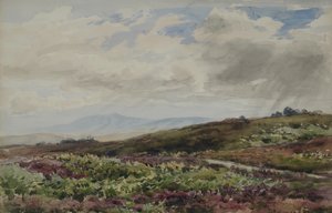Vue vers Chanctonbury, West Sussex