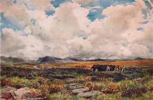 Empilement de tourbe, Festiniog, nord du Pays de Galles, 1881