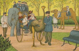 Paris : le zoo - Thomas Crane