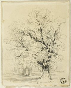 Ches[t]nut dans le parc de Greenwich - Thomas Creswick