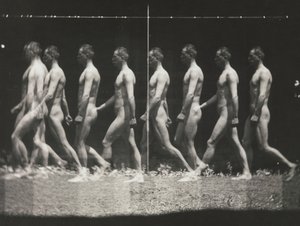 [Homme marchant, photographie stroboscopique], années 1880, imprimé années 1930-40 - Thomas Eakins