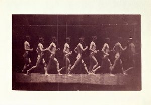 Photographies de la roue de Marey de George Reynolds