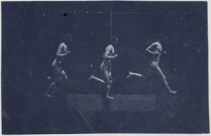Photographies de la roue de Marey de George Reynolds, vers 1884