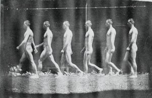 Photographies de la roue de Marey de Jesse Godley, 1884