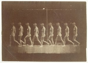 Photographies de la roue de Marey d