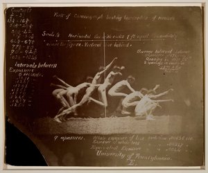 Photographies de la roue de Marey d