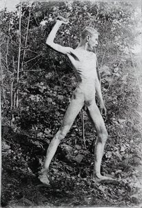 Lanceur de pierres, vers 1883