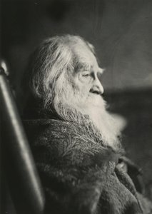 Walt Whitman à Camden, N.J., vers 1891 - Thomas Eakins