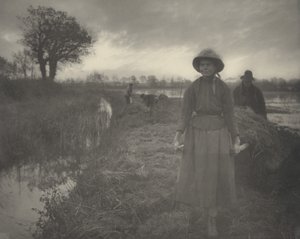 Le battage du foin du marais, 1886 (photo)