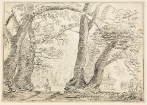 Homme avec chien dans la forêt