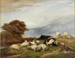 Dans les marais près de Ramsgate, île de Thanet