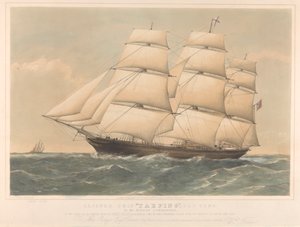 Clipper Ship Taeping, 767 tonnes