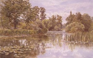 Une rivière tranquille