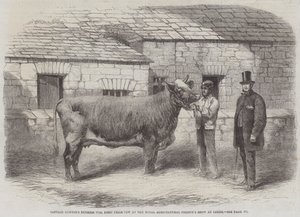 La Duchesse de Captain Gunter 77ème, Première Vache Primée au Salon de la Société Royale d