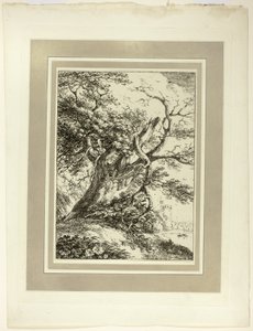Vieil arbre, du premier numéro de Spécimens de Polyautographie - Thomas Hearne