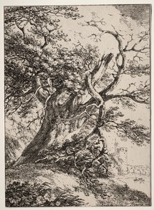 Spécimens de Polyautographie: Paysage avec un chêne