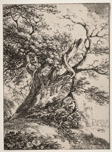 Spécimens de polyautographie: Paysage avec un chêne