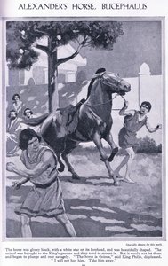 Le cheval d