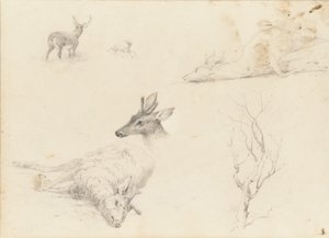 Carnet de croquis de paysages et sujets animaliers - Thomas Hewes Hinckley