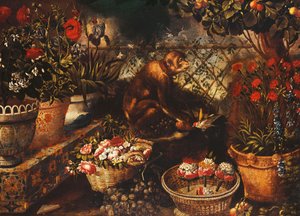 Un singe dans un jardin clôturé - Thomas Hiepes