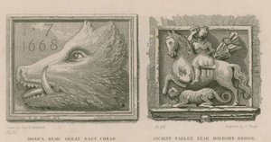 Tête de sanglier et tablette ancienne - Thomas Hosmer Shepherd