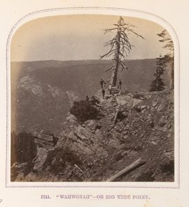 "Wahwonah" - ou Big Tree Point