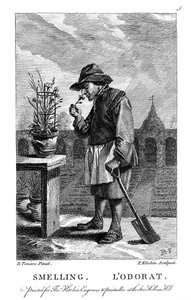 Jardinier sentant un œillet ou un œillet rose, vers 1750