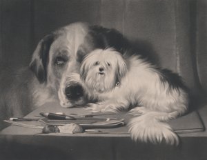 Le Chien-lion de Malte - Le dernier de sa tribu, 1844