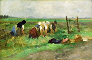 Travailleurs des champs, vers 1900