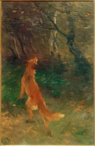 Renard observant un oiseau