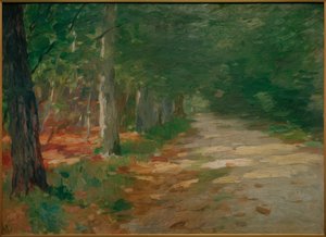 Chemin forestier avec taches de soleil