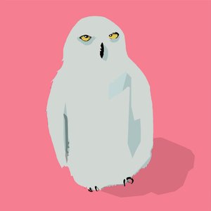 Hibou