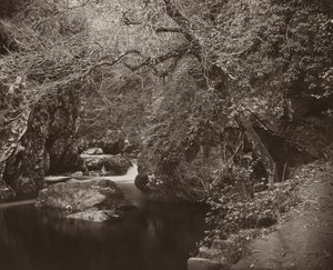 Le Trou de Dargle - Thomas Marcus Brownrigg