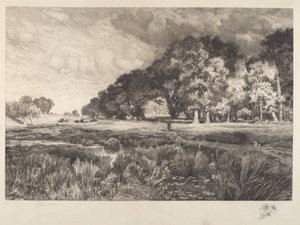 Paysage de Long Island - Thomas Moran