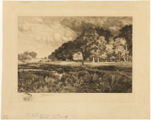 Paysage de Long Island