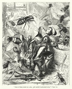 Illustration des Voyages de Gulliver par Jonathan Swift (gravure) - Thomas Morten